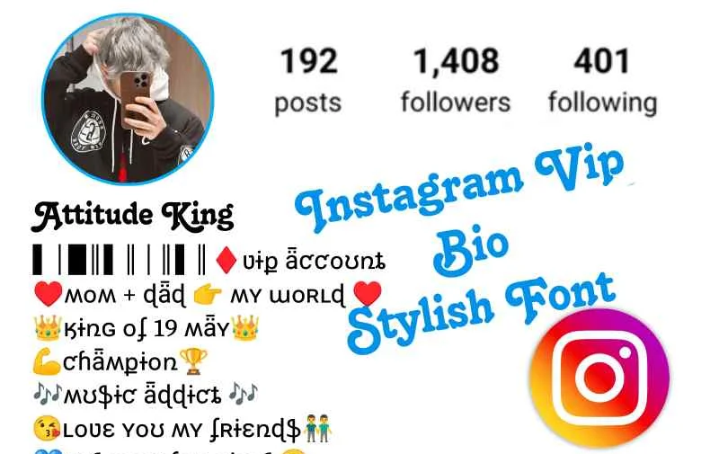 Instagram VIP Bio Stylish Font